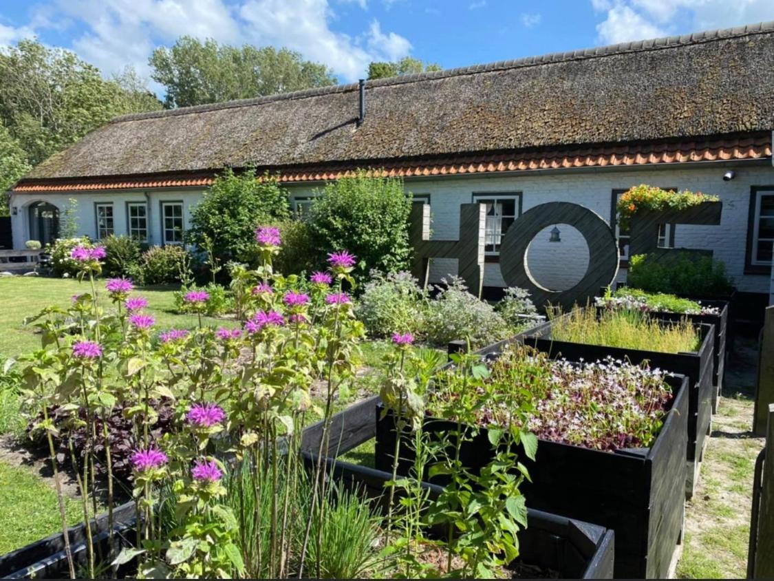 Hof Aan Zee Villa Dishoek Eksteriør bilde
