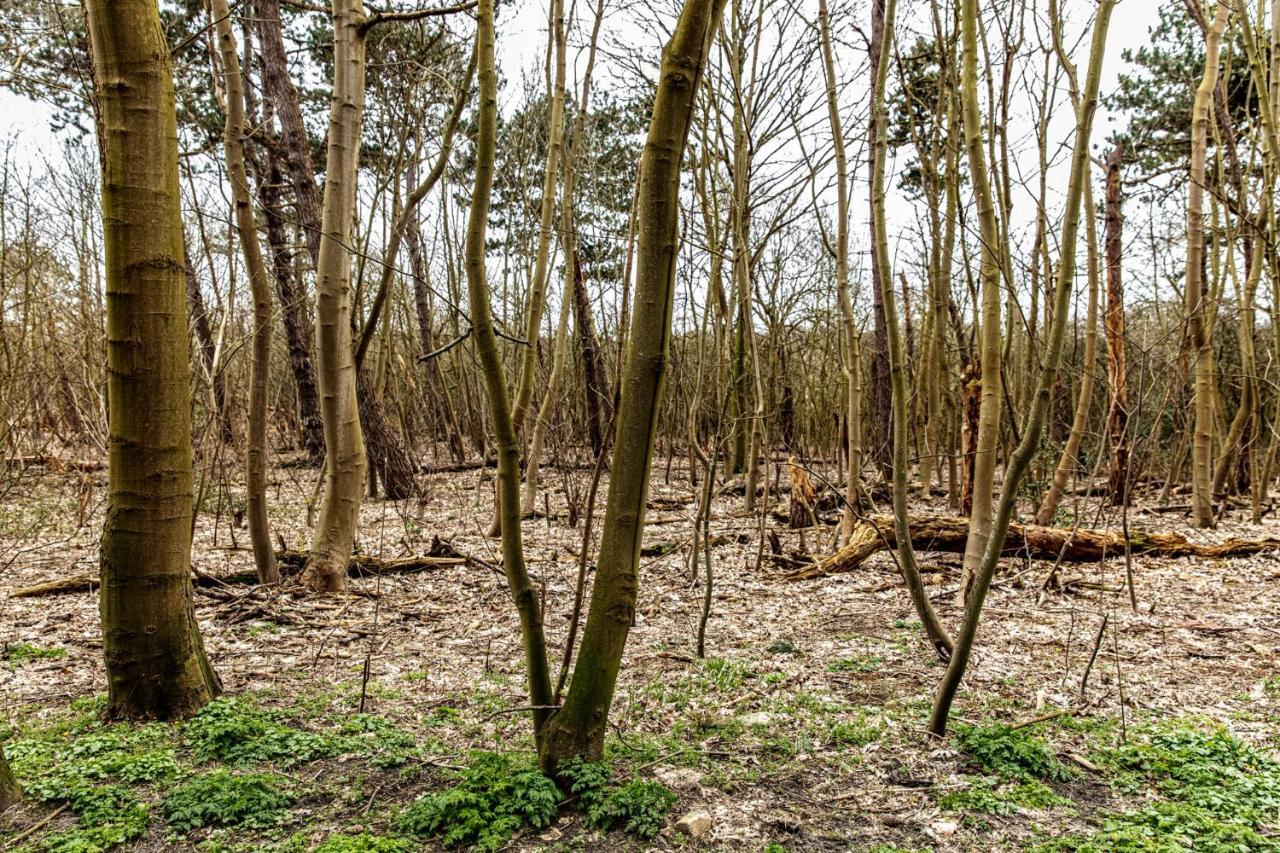 Hof Aan Zee Villa Dishoek Eksteriør bilde